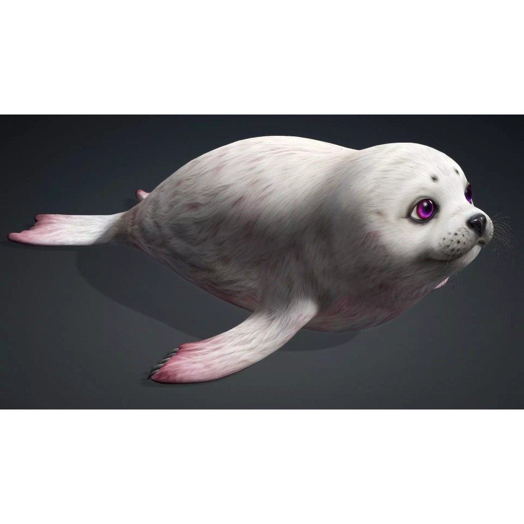 Harp Seal 3D Model – Low Poly Rigged Animal for Animation - View 12