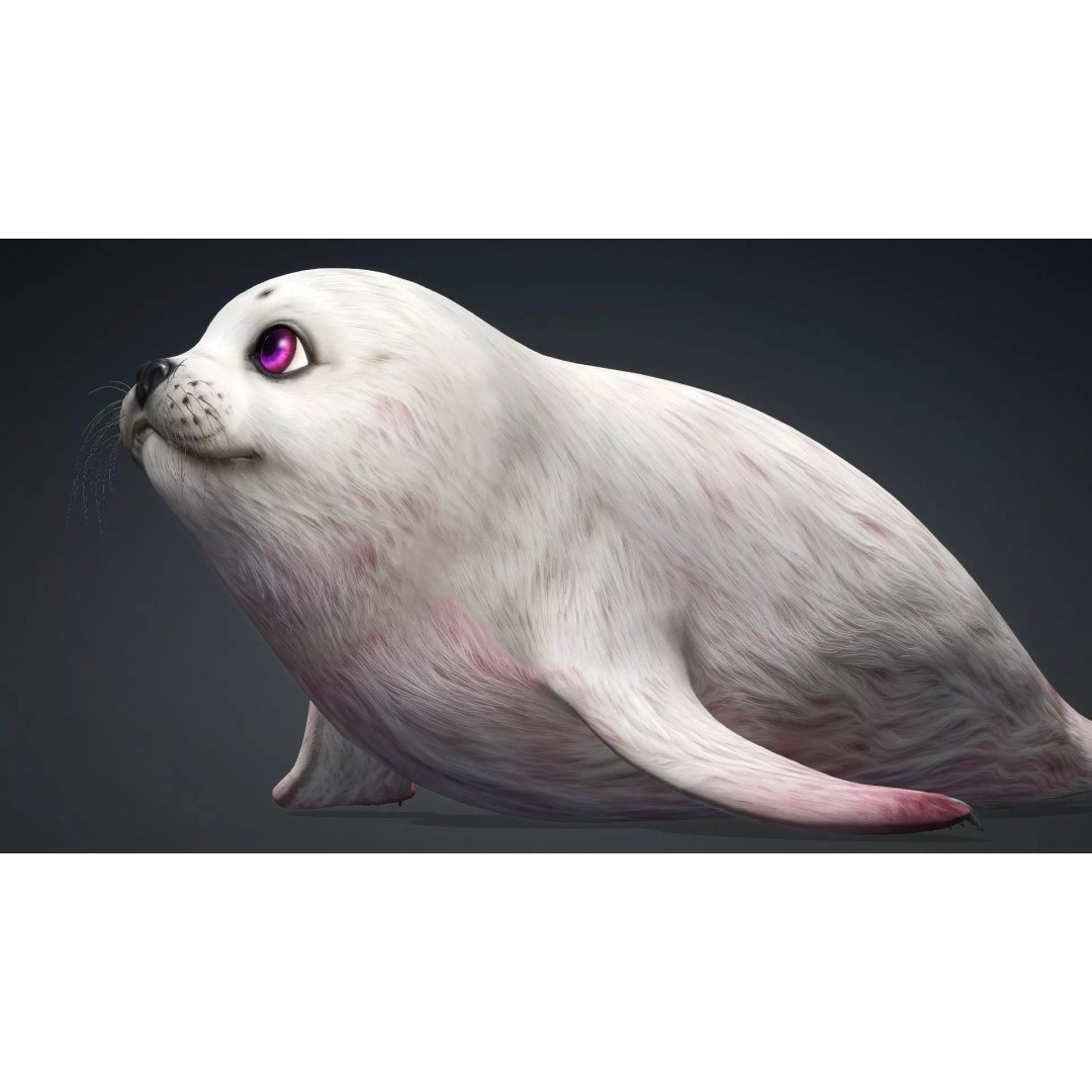 Harp Seal 3D Model – Low Poly Rigged Animal for Animation - View 13