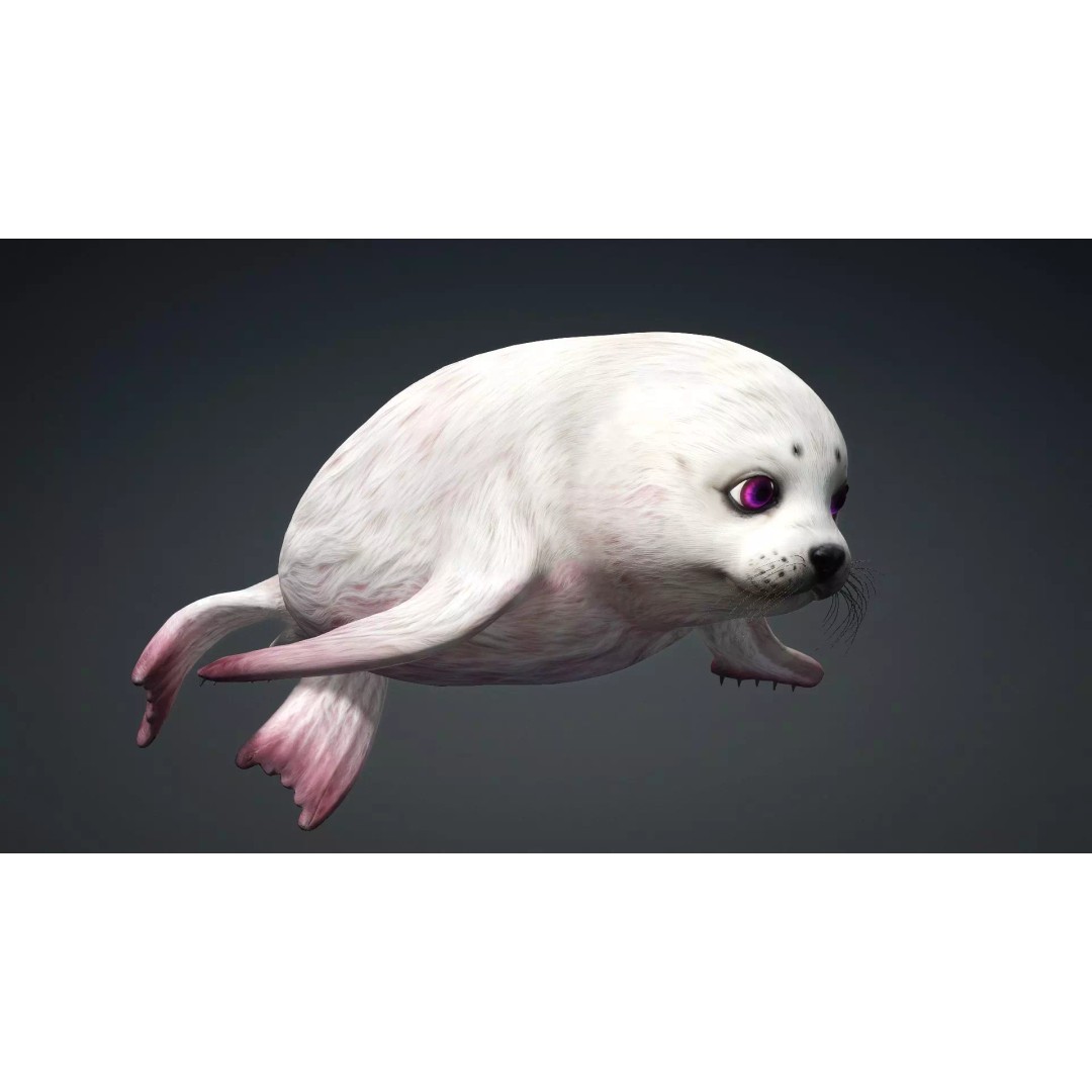 Harp Seal 3D Model – Low Poly Rigged Animal for Animation - View 15