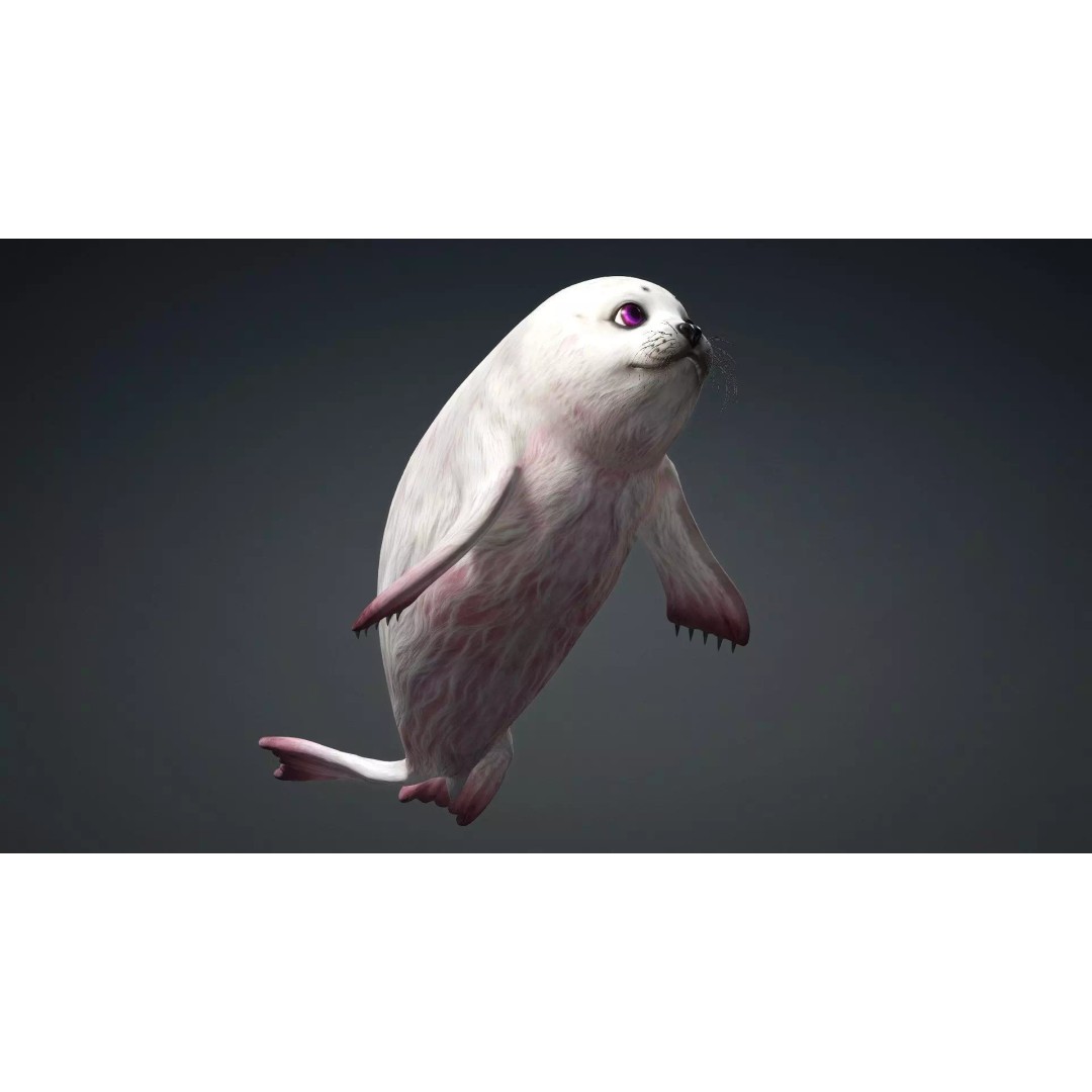 Harp Seal 3D Model – Low Poly Rigged Animal for Animation - View 16
