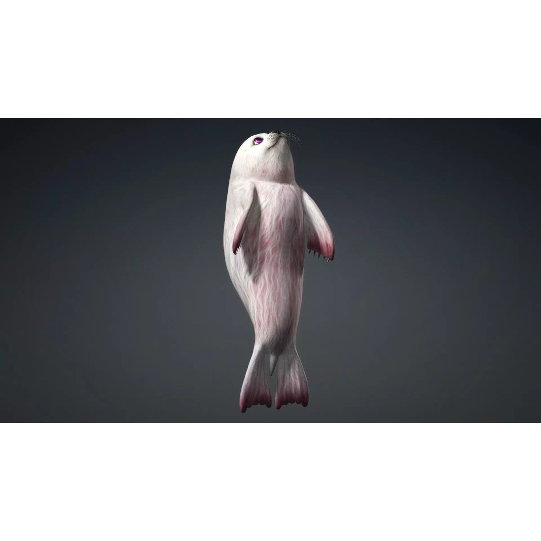 Harp Seal 3D Model – Low Poly Rigged Animal for Animation - View 17