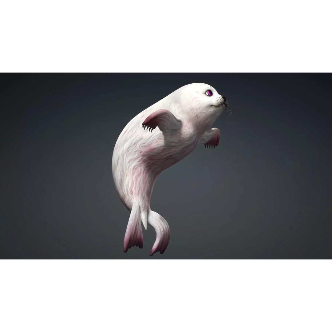 Harp Seal 3D Model – Low Poly Rigged Animal for Animation - View 18