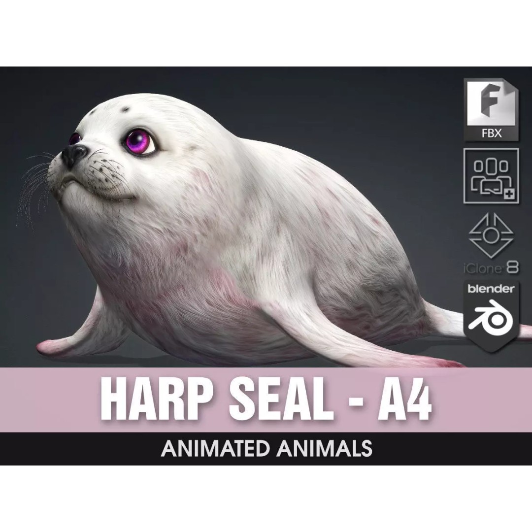Harp Seal 3D Model – Low Poly Rigged Animal for Animation - View 2