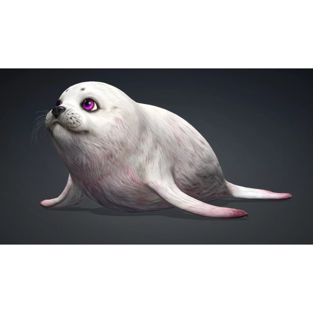 Harp Seal 3D Model – Low Poly Rigged Animal for Animation - View 3