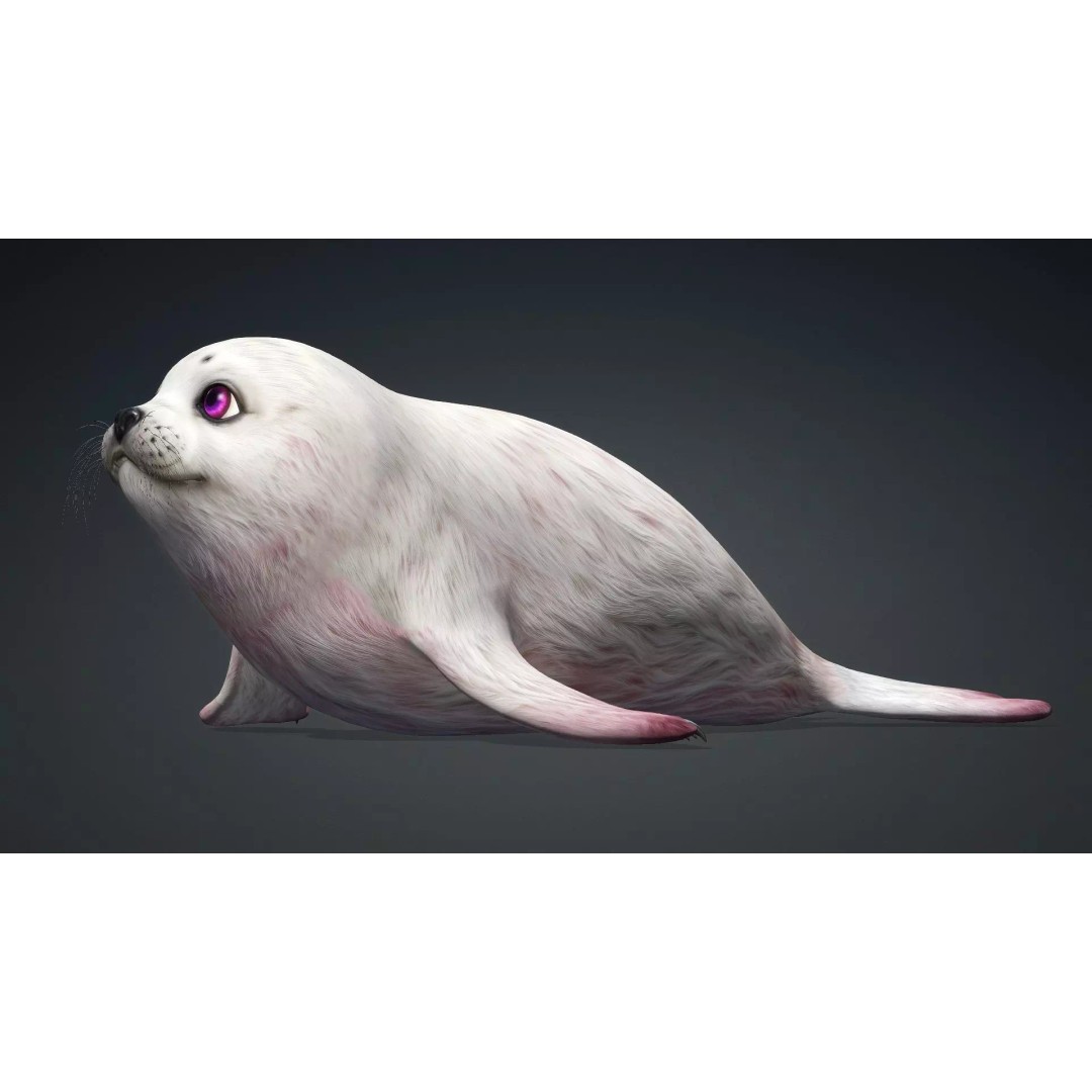 Harp Seal 3D Model – Low Poly Rigged Animal for Animation - View 4