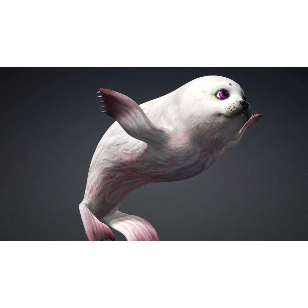 Harp Seal 3D Model – Low Poly Rigged Animal for Animation - View 5