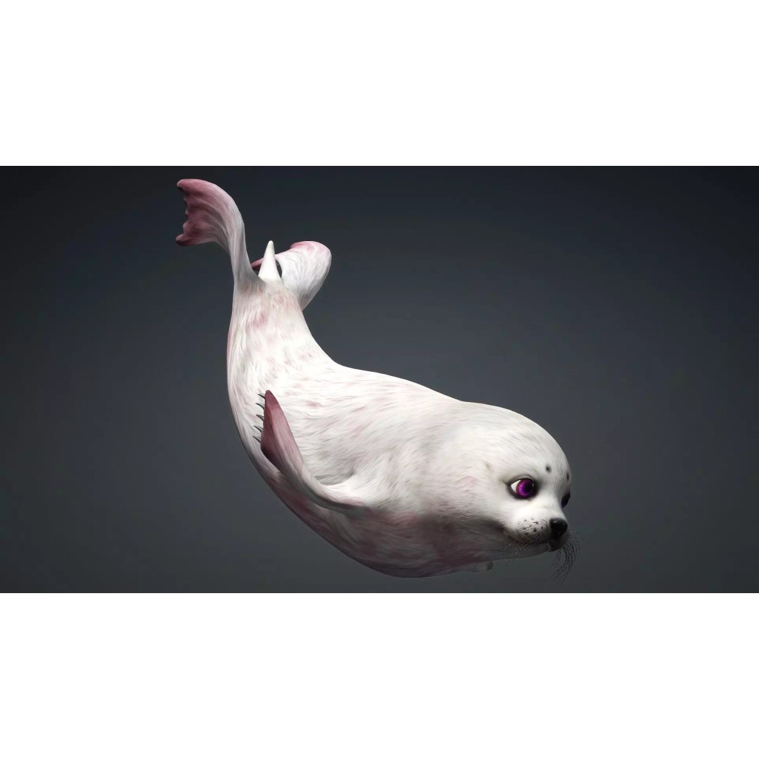 Harp Seal 3D Model – Low Poly Rigged Animal for Animation - View 6