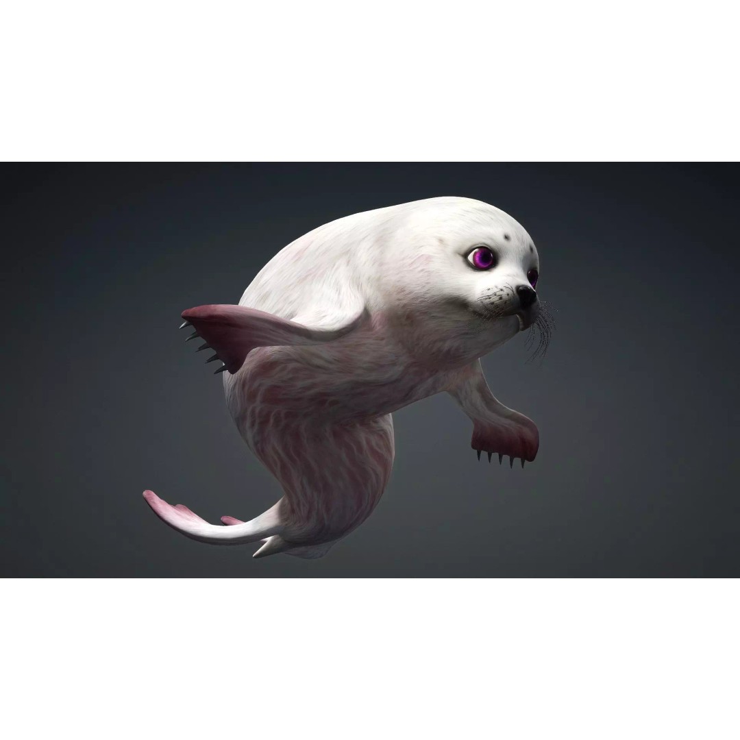 Harp Seal 3D Model – Low Poly Rigged Animal for Animation - View 7