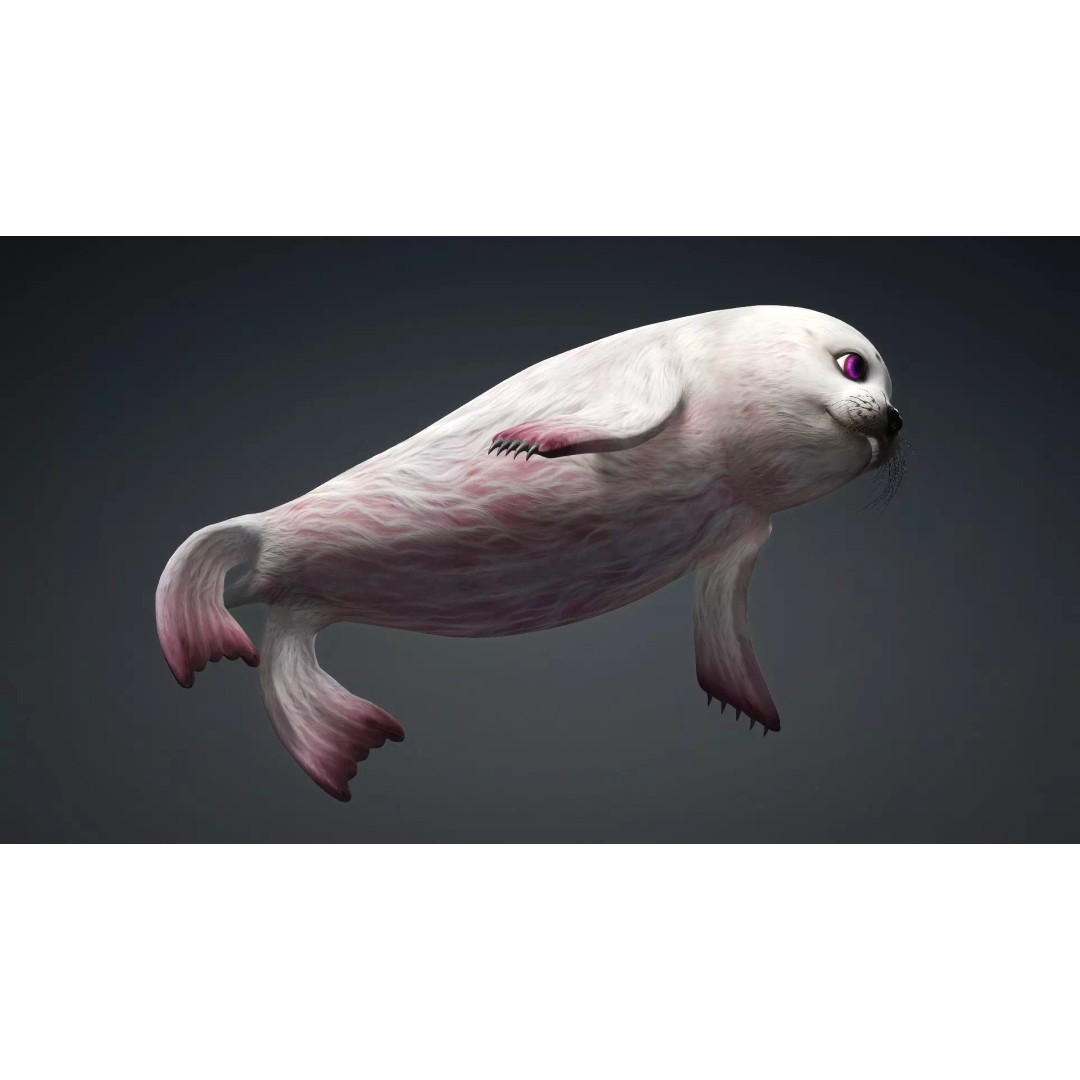 Harp Seal 3D Model – Low Poly Rigged Animal for Animation - View 8