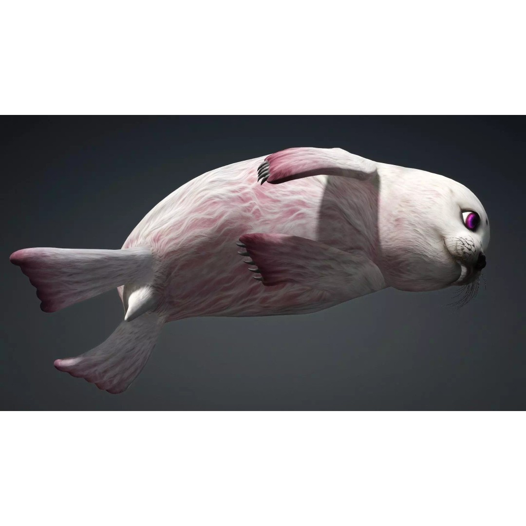 Harp Seal 3D Model – Low Poly Rigged Animal for Animation - View 9