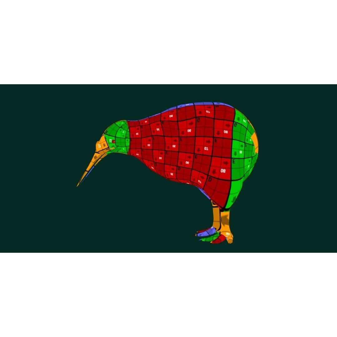 Kiwi 3D Model – Low Poly Game Ready Bird with Animations - View 10