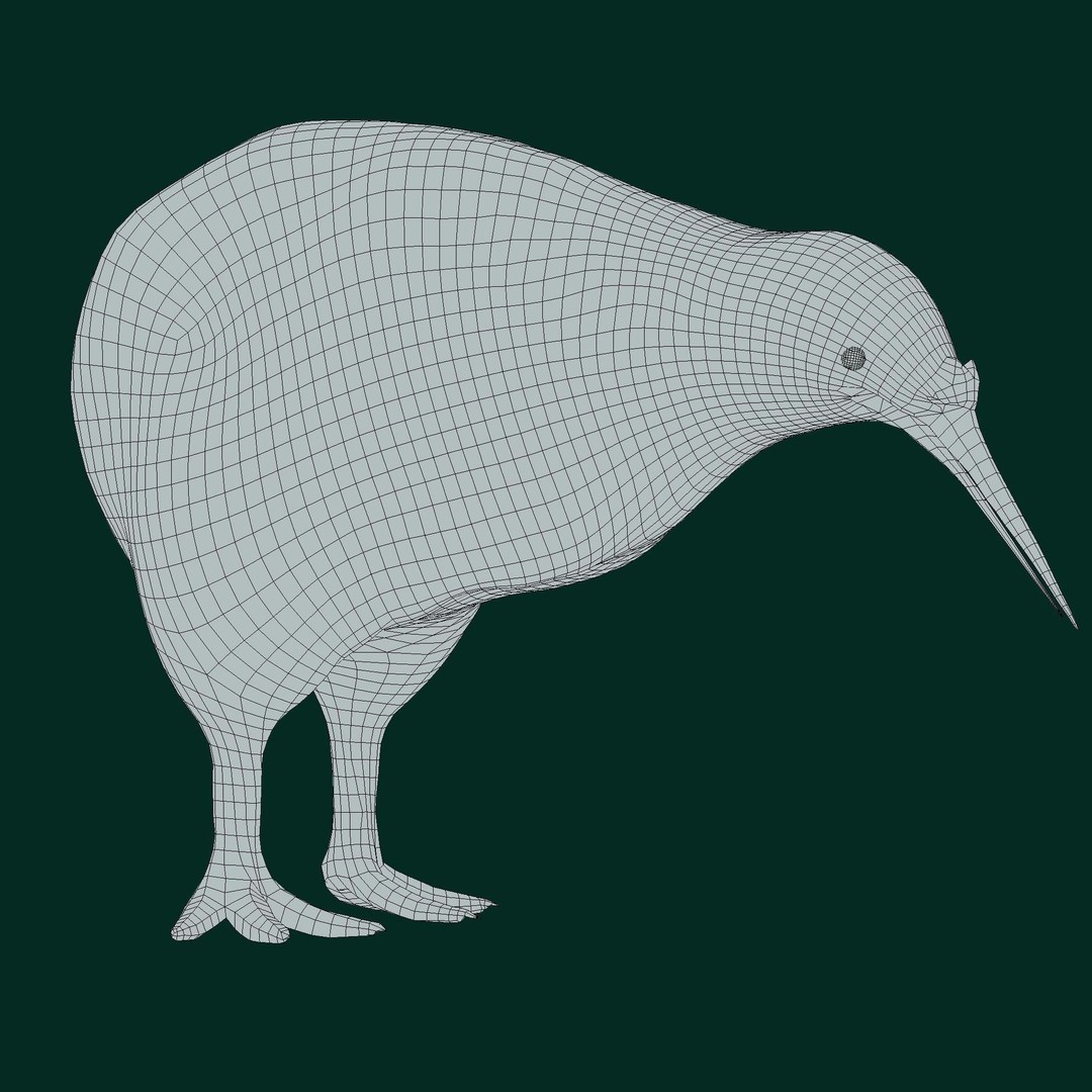 Kiwi 3D Model – Low Poly Game Ready Bird with Animations - View 16