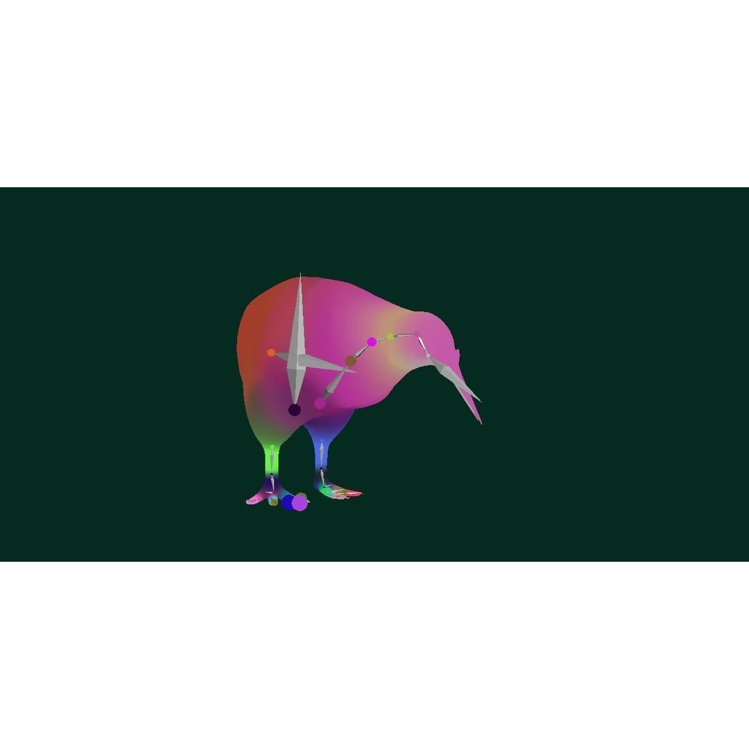 Kiwi 3D Model – Low Poly Game Ready Bird with Animations - View 18