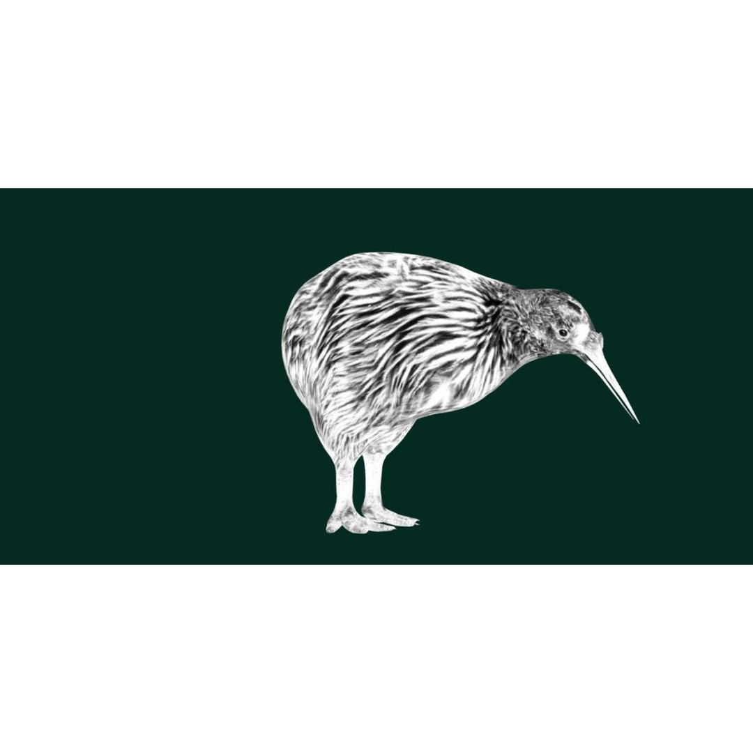 Kiwi 3D Model – Low Poly Game Ready Bird with Animations - View 21