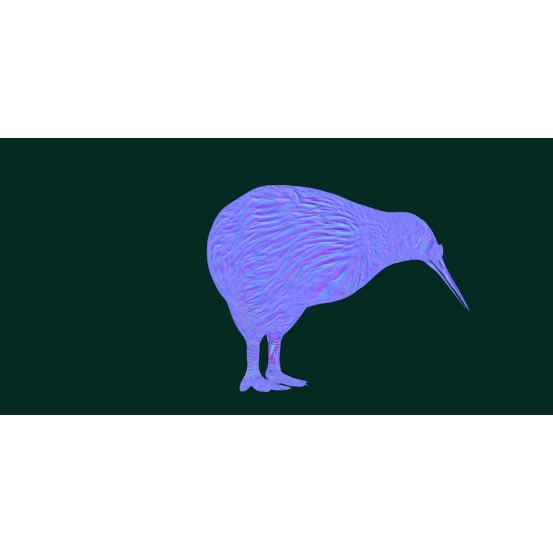 Kiwi 3D Model – Low Poly Game Ready Bird with Animations - View 22