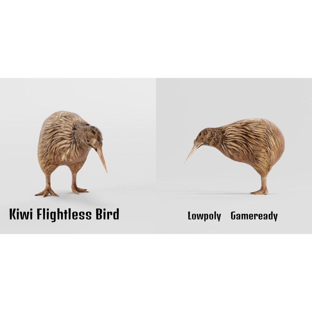 Kiwi 3D Model – Low Poly Game Ready Bird with Animations - View 3