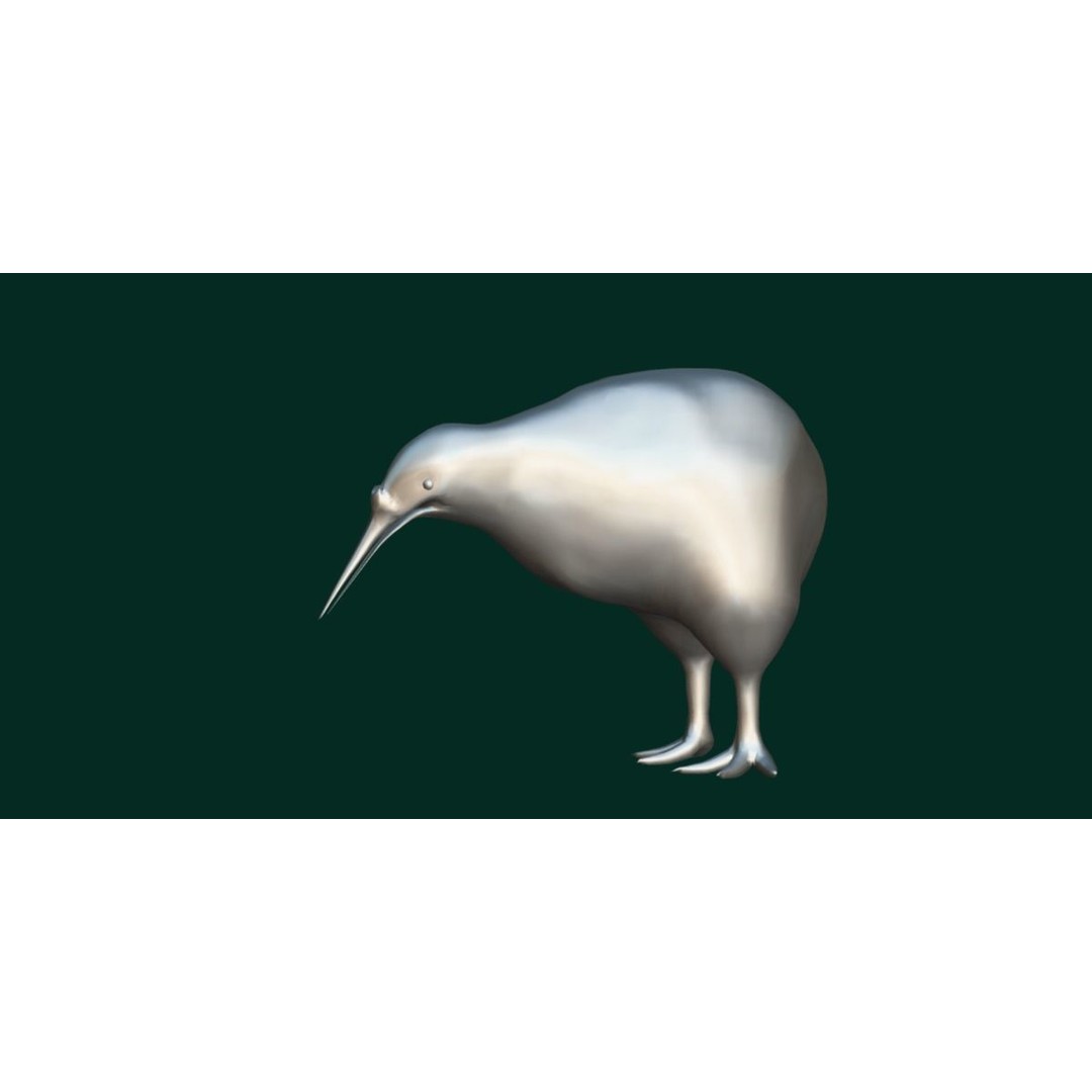 Kiwi 3D Model – Low Poly Game Ready Bird with Animations - View 5