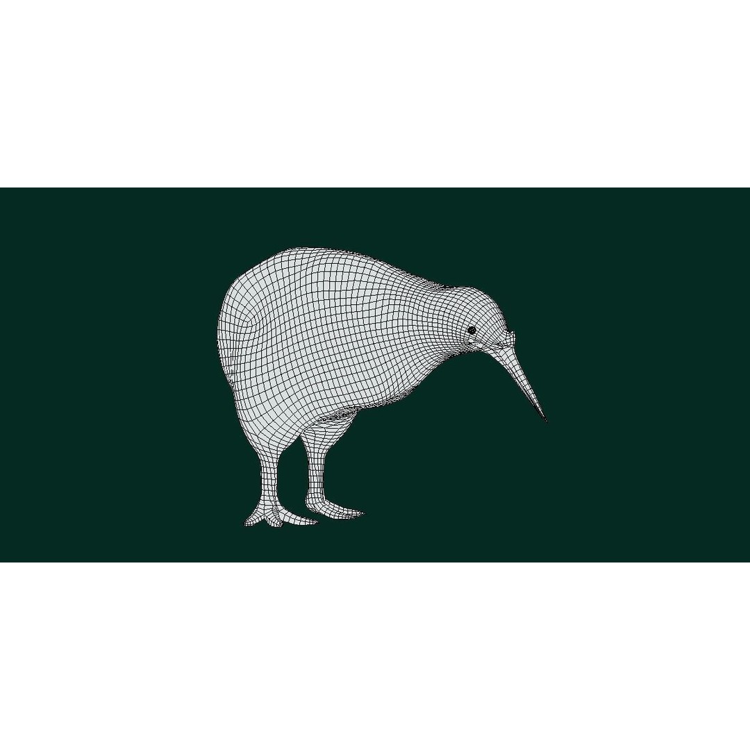 Kiwi 3D Model – Low Poly Game Ready Bird with Animations - View 7