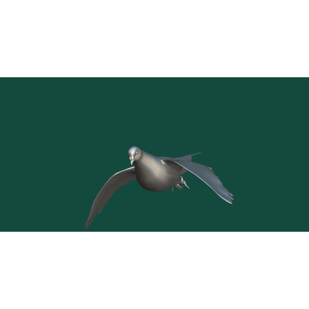 Columbidae White Dove 3D Model – Low Poly Game Asset, FBX, PBR - View 18