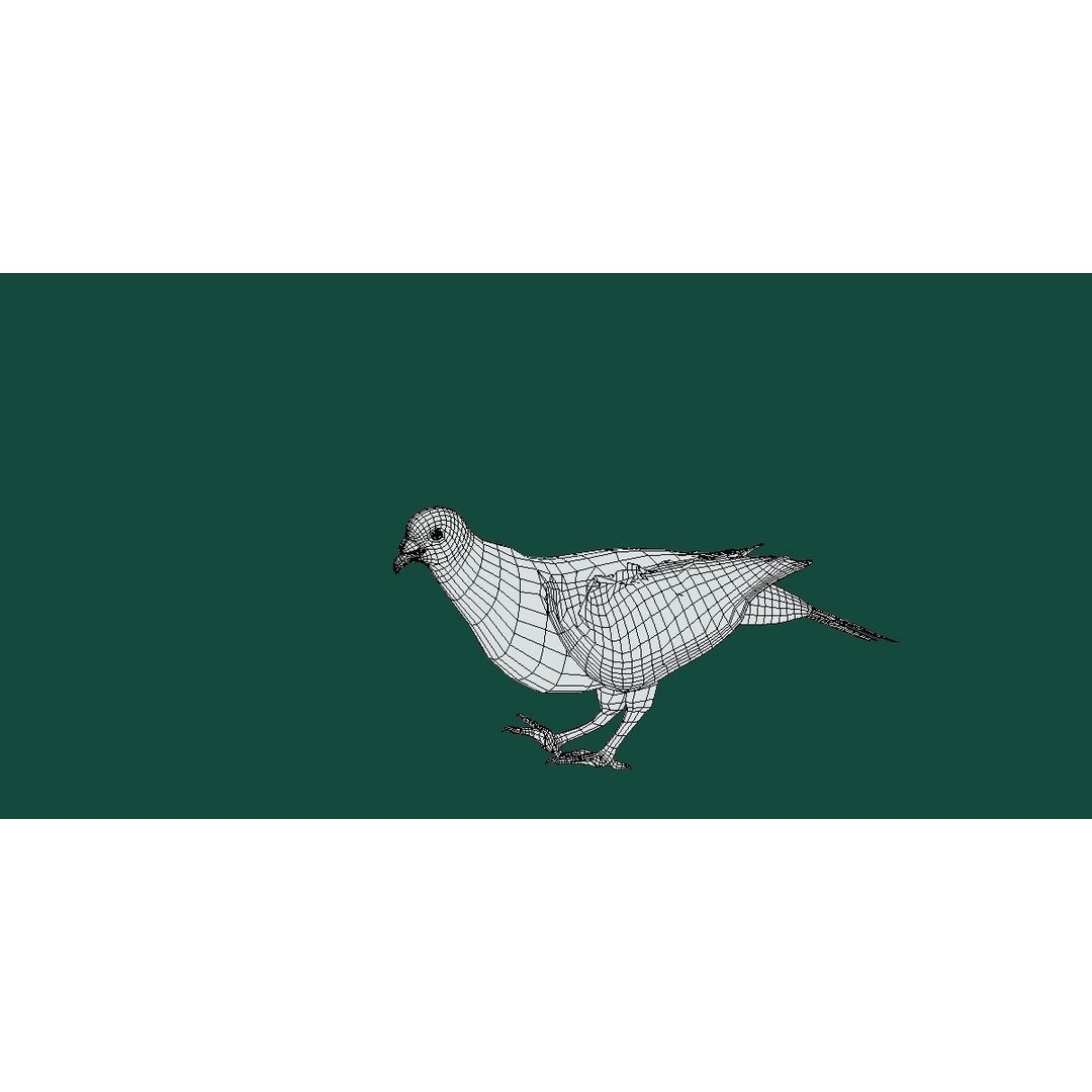 Columbidae White Dove 3D Model – Low Poly Game Asset, FBX, PBR - View 7