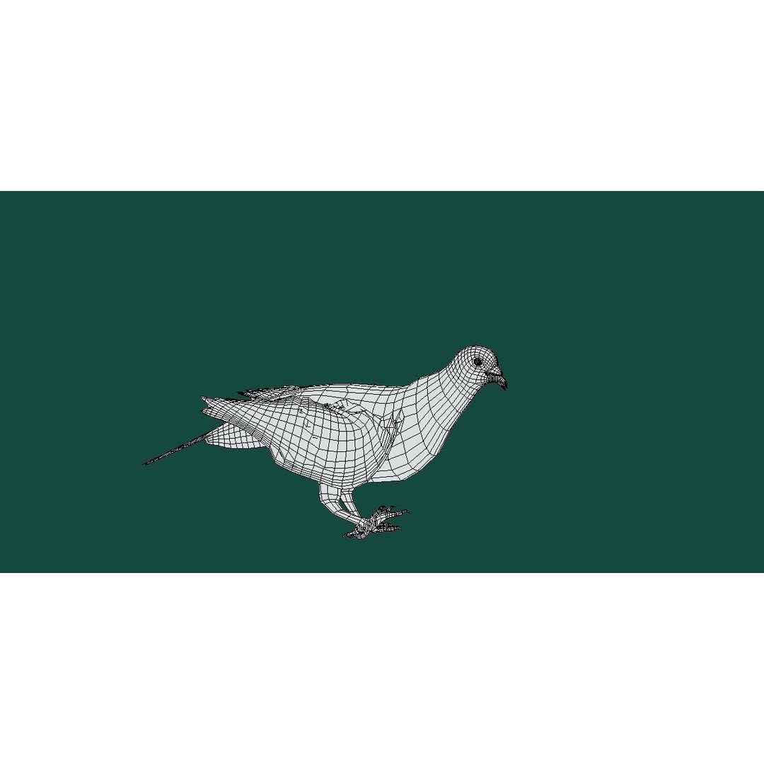 Columbidae White Dove 3D Model – Low Poly Game Asset, FBX, PBR - View 8