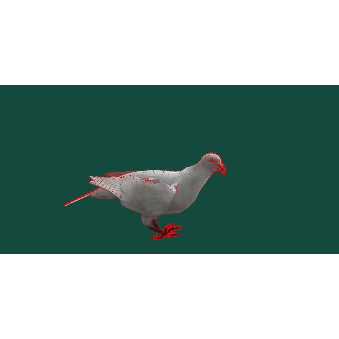Columbidae White Dove 3D Model – Low Poly Game Asset, FBX, PBR - View 9