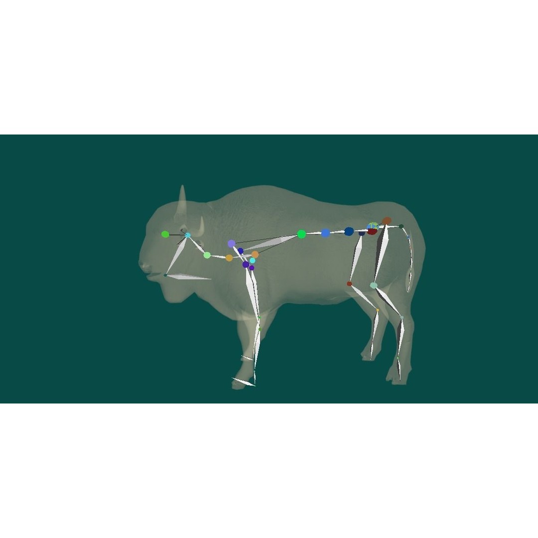 European Bison Male 3D Model – Low Poly Game Ready Asset, FBX - View 5