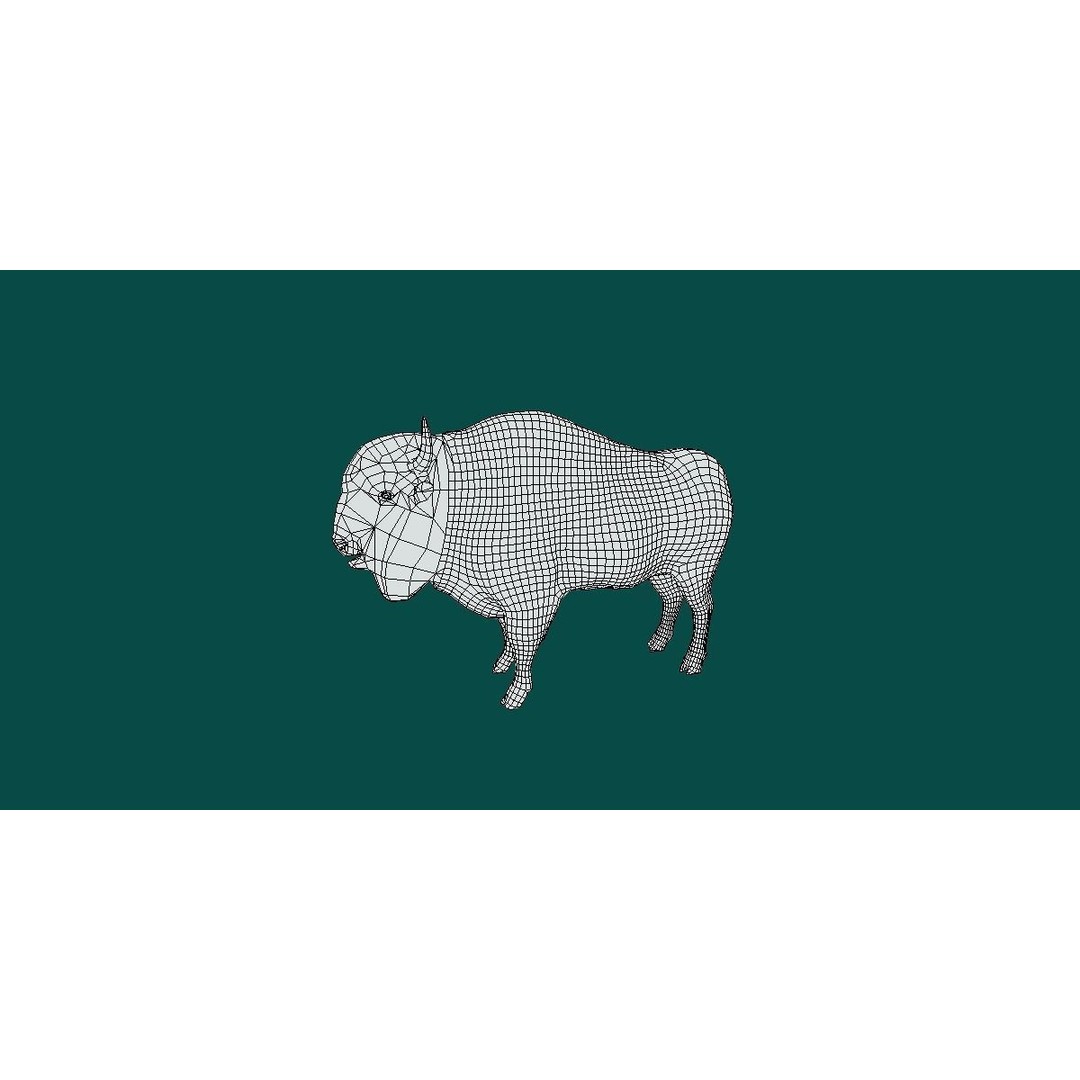 European Bison Male 3D Model – Low Poly Game Ready Asset, FBX - View 6
