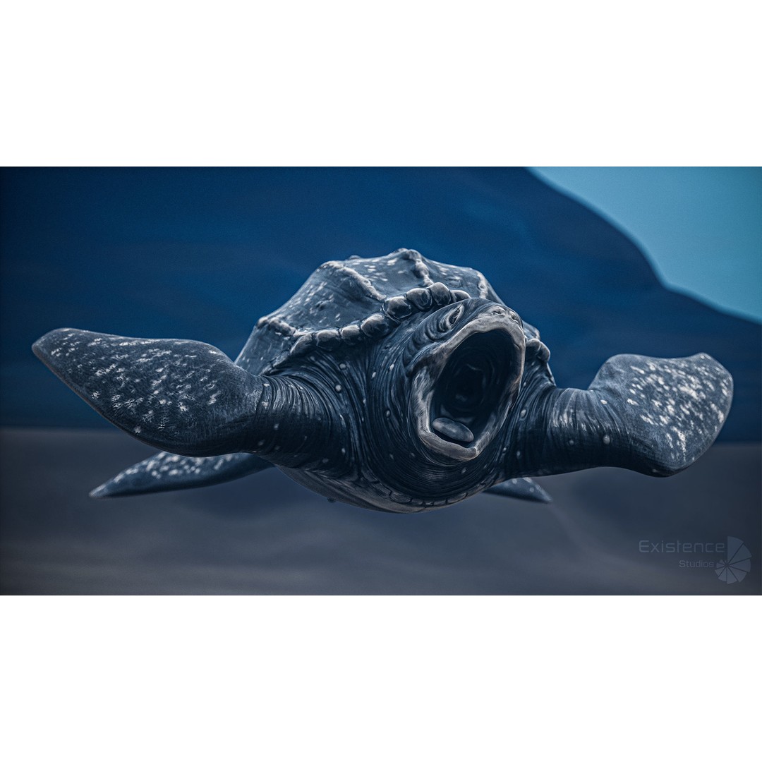 Sea Turtle 3D Model – Low Poly Rigged Creature with PBR Textures - View 11