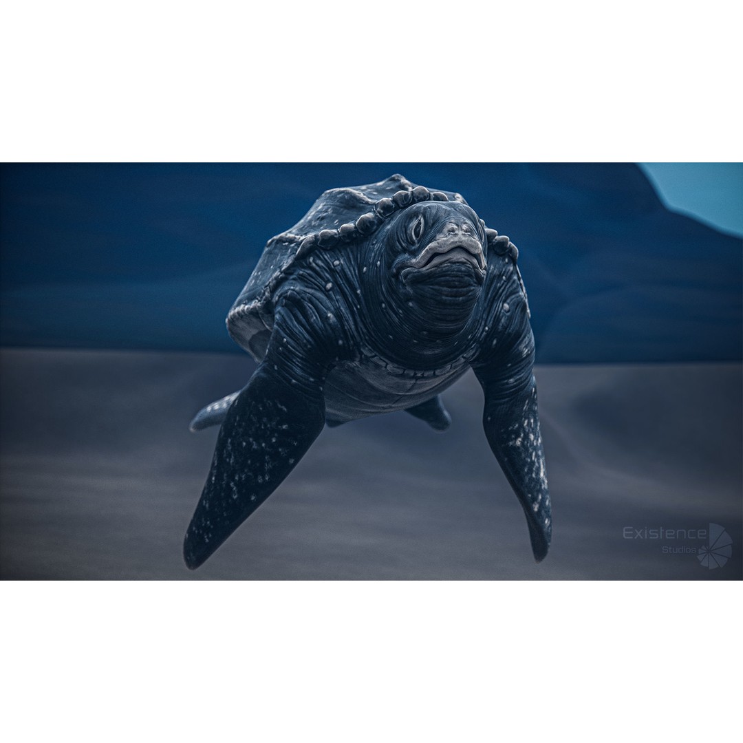 Sea Turtle 3D Model – Low Poly Rigged Creature with PBR Textures - View 12