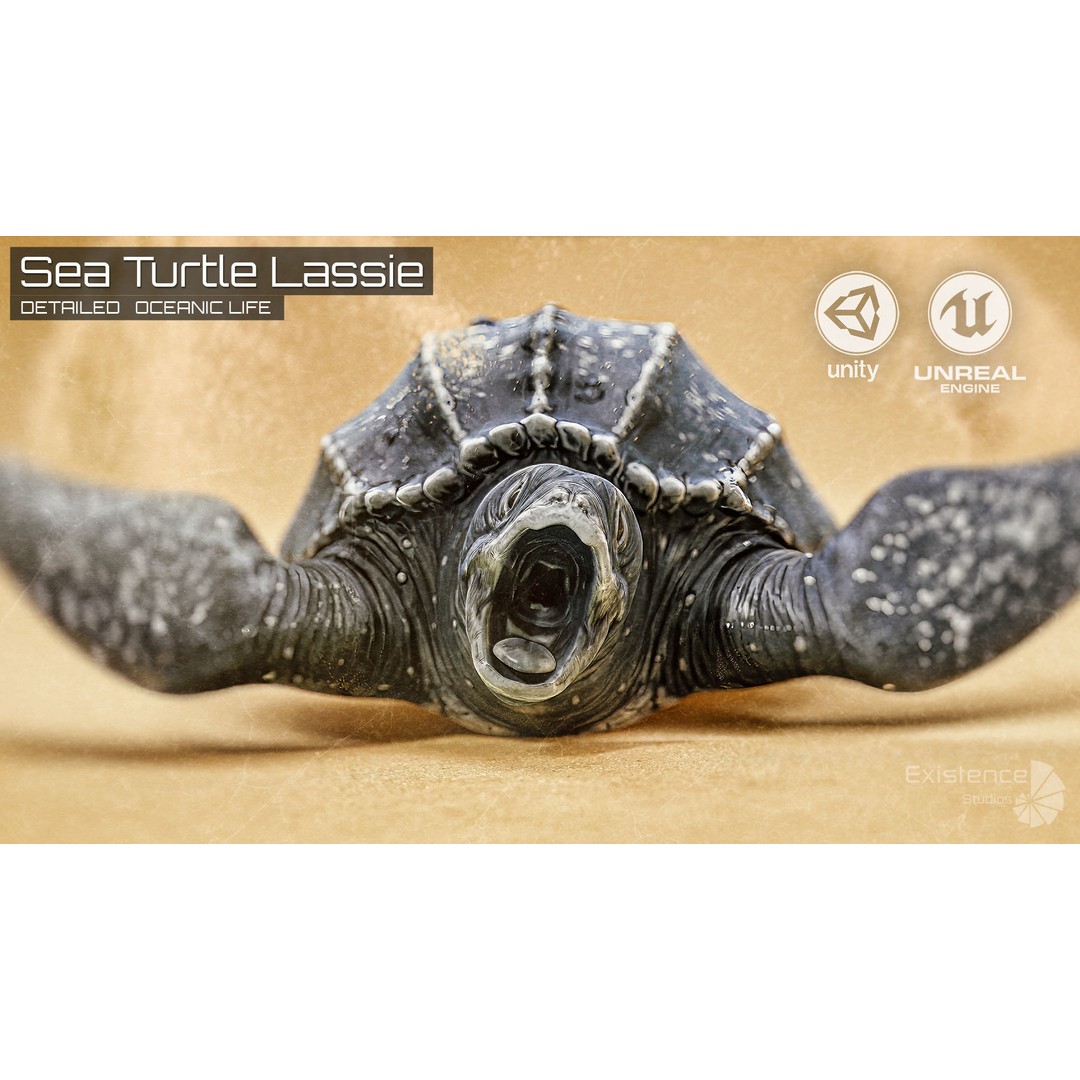 Sea Turtle 3D Model – Low Poly Rigged Creature with PBR Textures - View 3