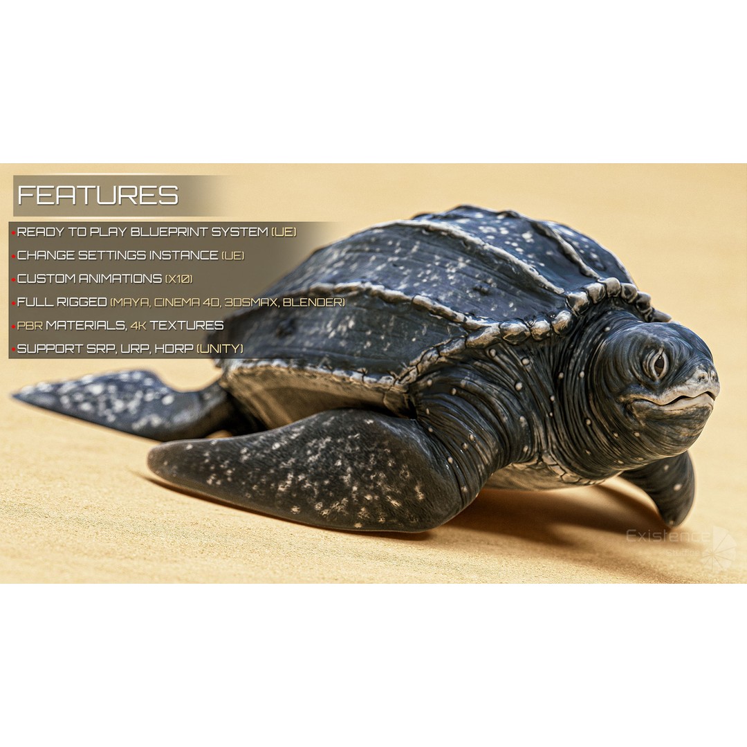 Sea Turtle 3D Model – Low Poly Rigged Creature with PBR Textures - View 4