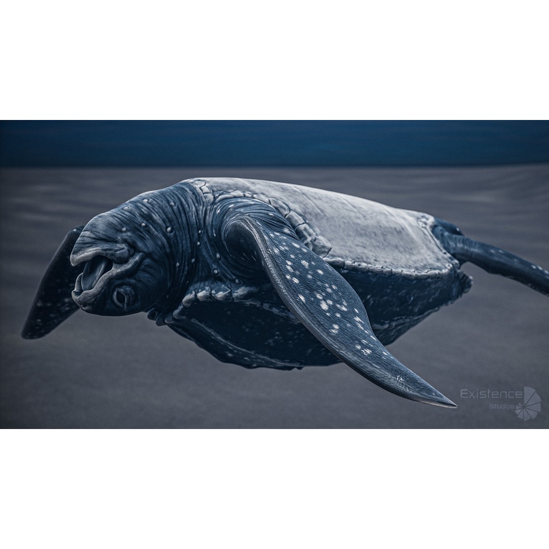 Sea Turtle 3D Model – Low Poly Rigged Creature with PBR Textures - View 5