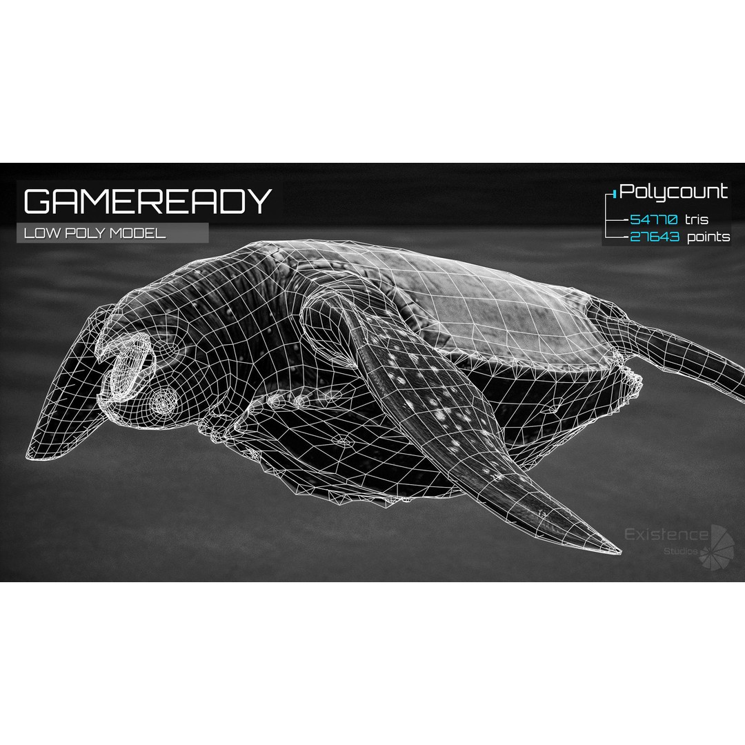 Sea Turtle 3D Model – Low Poly Rigged Creature with PBR Textures - View 6