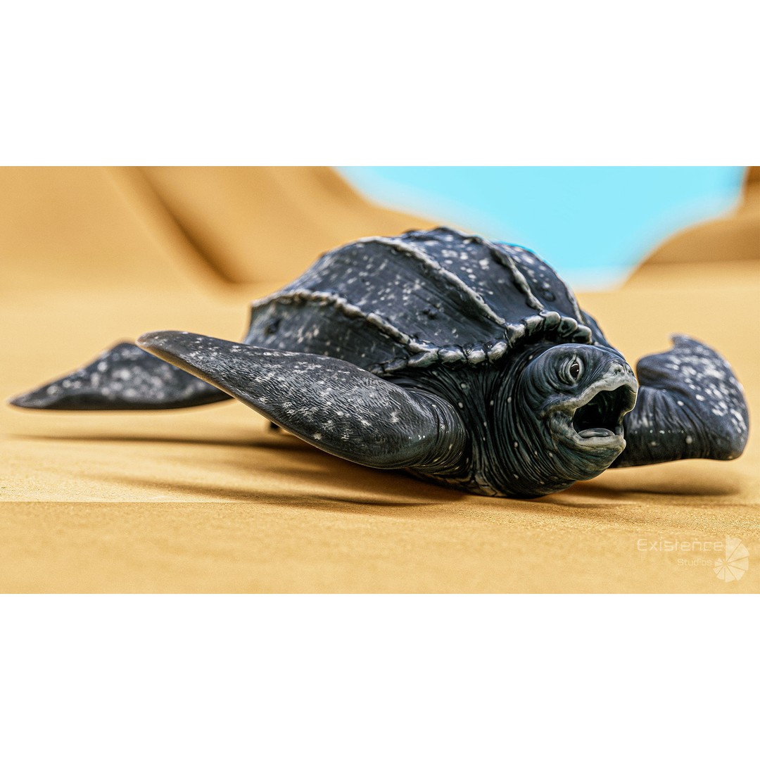 Sea Turtle 3D Model – Low Poly Rigged Creature with PBR Textures - View 8
