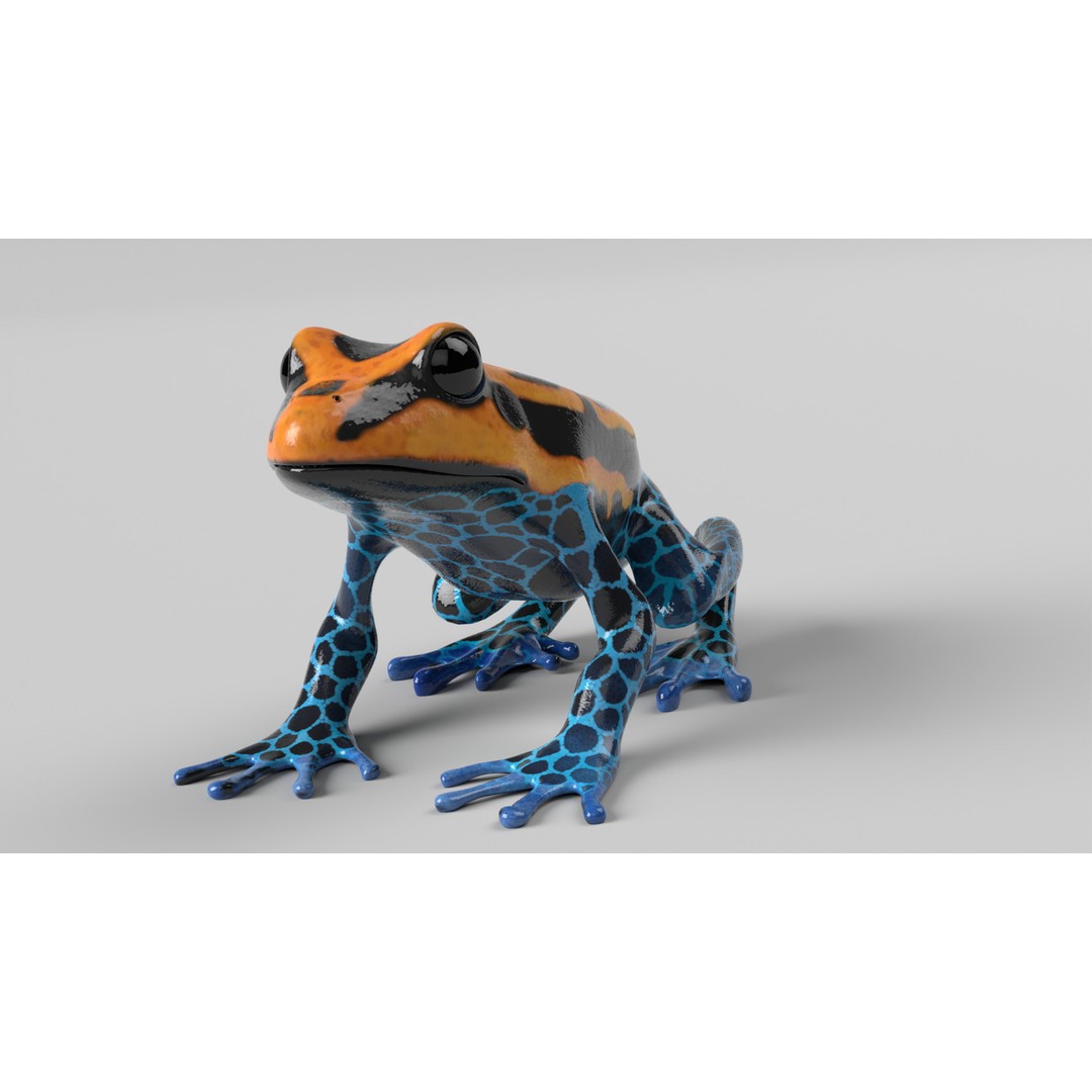 Poison Dart Frog 3D Model – Animated Low Poly Rigged Asset, FBX - View 10
