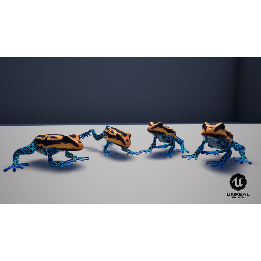 Poison Dart Frog 3D Model – Animated Low Poly Rigged Asset, FBX - View 11