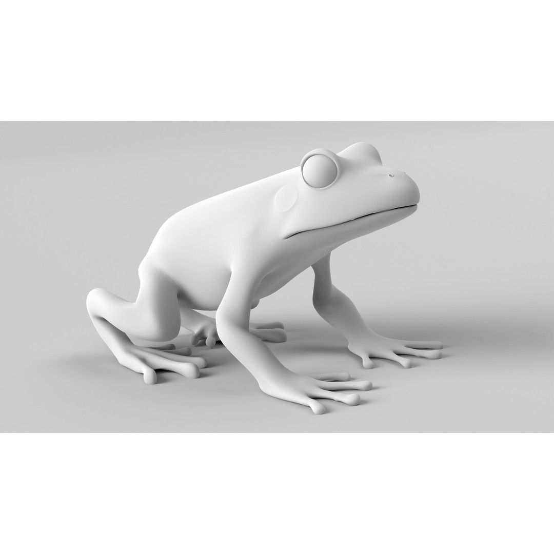 Poison Dart Frog 3D Model – Animated Low Poly Rigged Asset, FBX - View 13