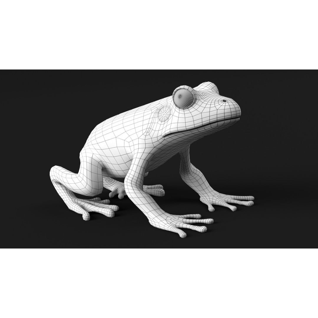 Poison Dart Frog 3D Model – Animated Low Poly Rigged Asset, FBX - View 14