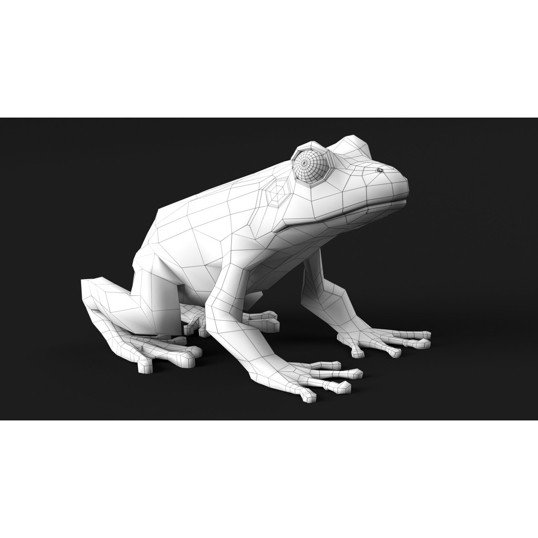 Poison Dart Frog 3D Model – Animated Low Poly Rigged Asset, FBX - View 15