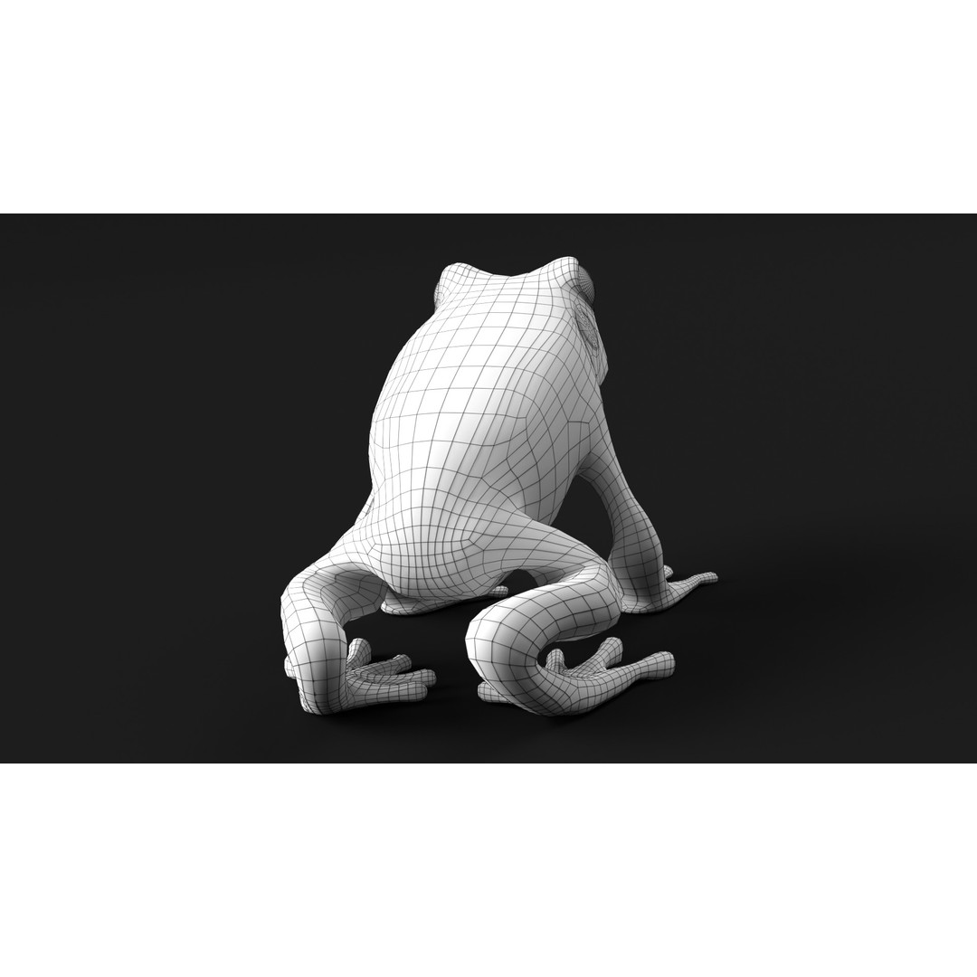 Poison Dart Frog 3D Model – Animated Low Poly Rigged Asset, FBX - View 16