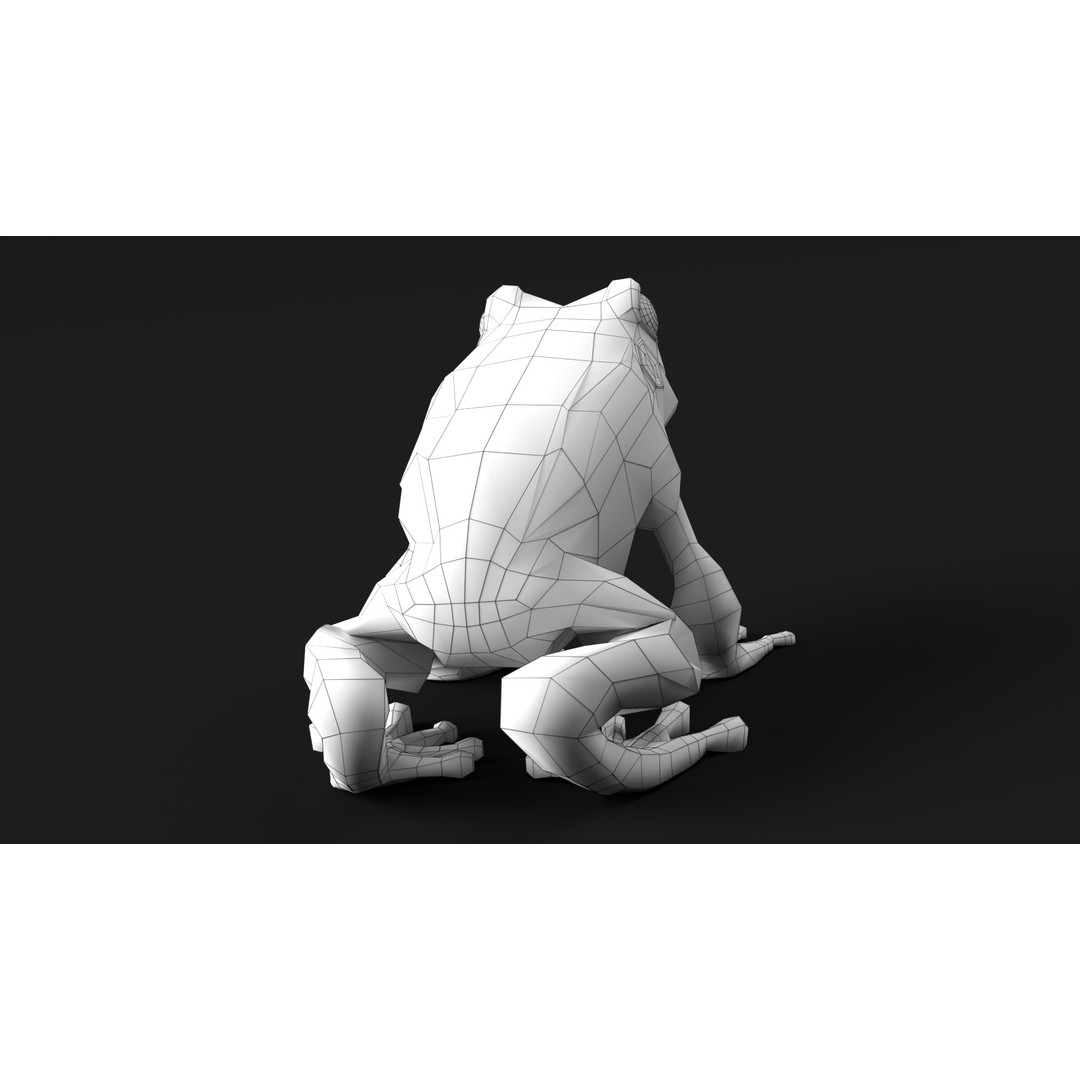 Poison Dart Frog 3D Model – Animated Low Poly Rigged Asset, FBX - View 17