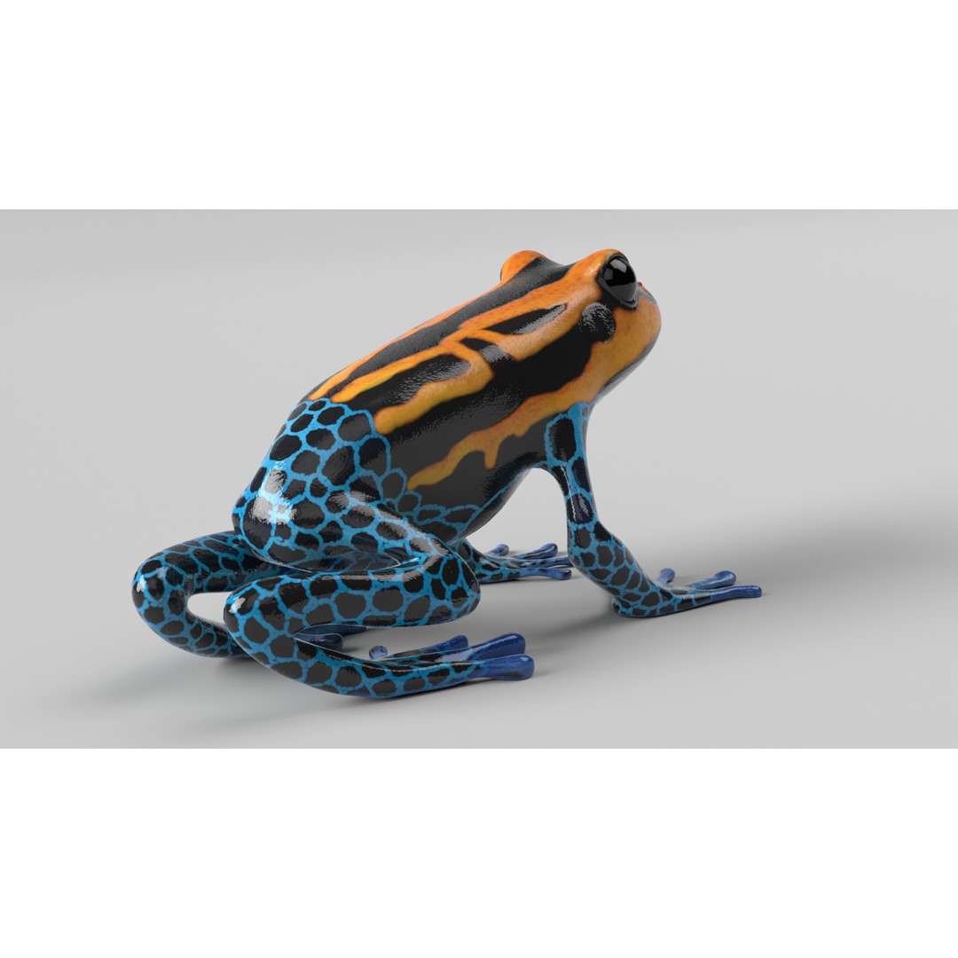 Poison Dart Frog 3D Model – Animated Low Poly Rigged Asset, FBX - View 6