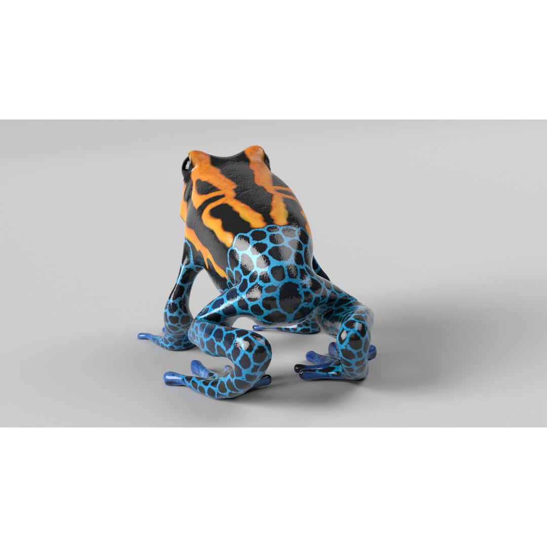 Poison Dart Frog 3D Model – Animated Low Poly Rigged Asset, FBX - View 7