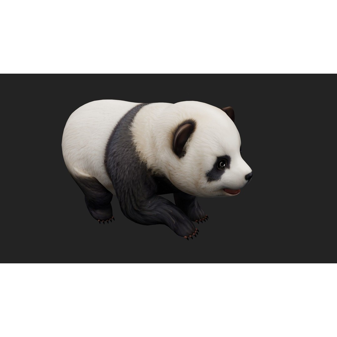 Panda 3D Model – Rigged Animated Character with PBR Textures - View 10