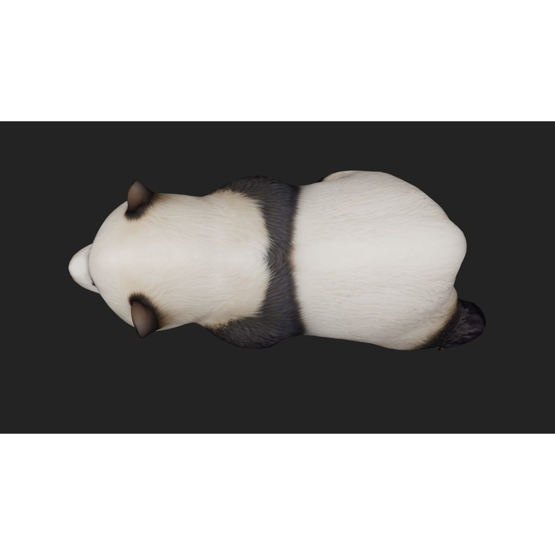 Panda 3D Model – Rigged Animated Character with PBR Textures - View 11