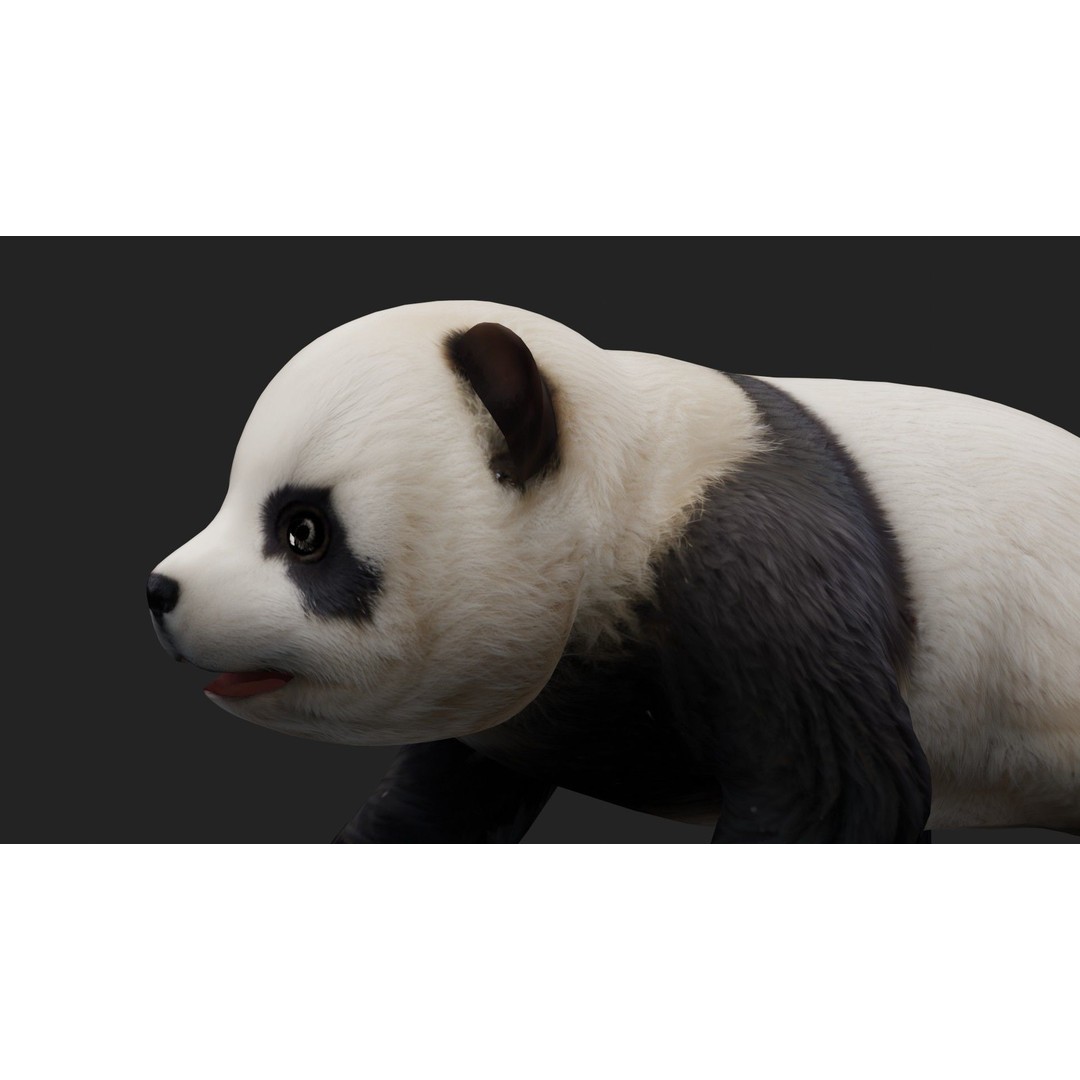 Panda 3D Model – Rigged Animated Character with PBR Textures - View 12