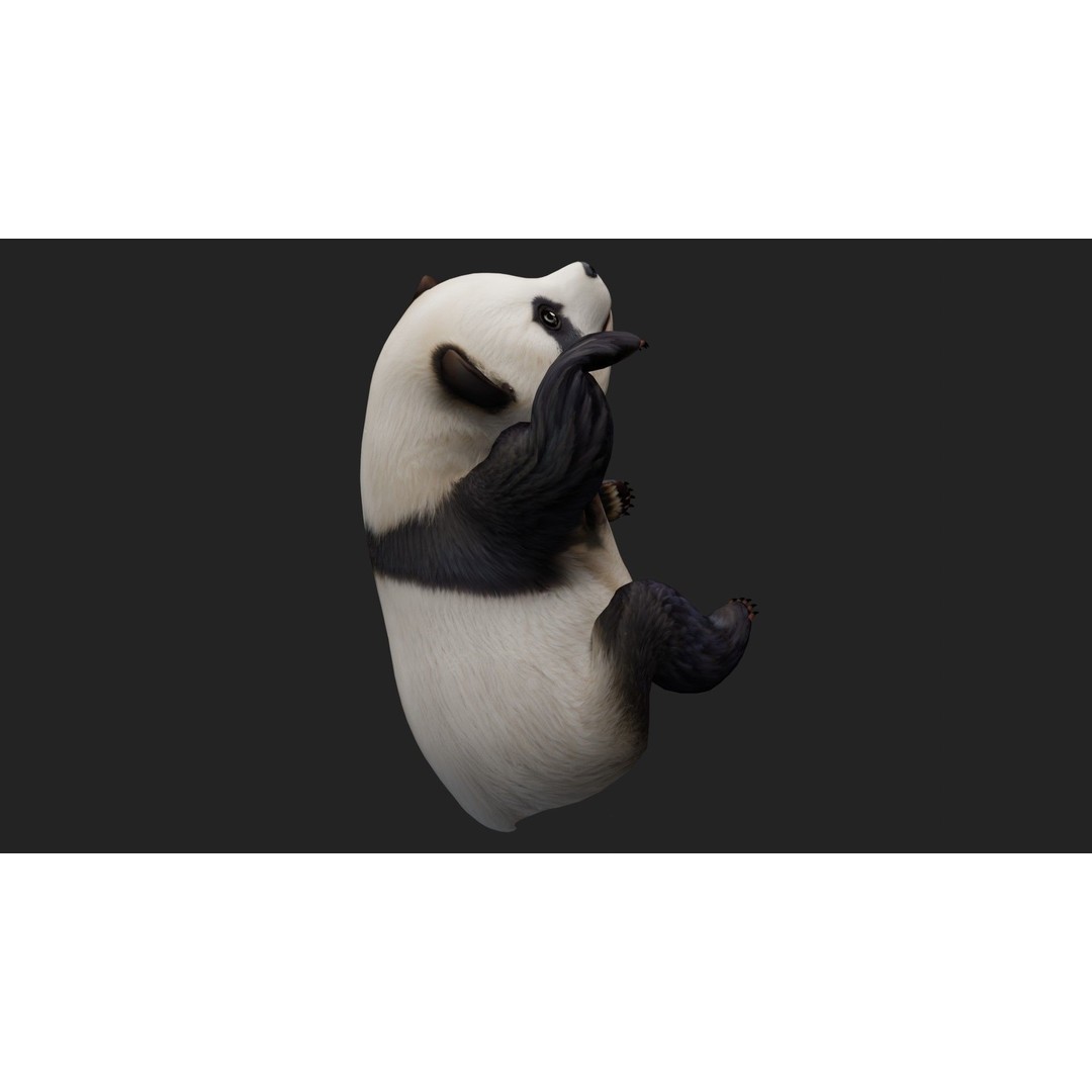 Panda 3D Model – Rigged Animated Character with PBR Textures - View 13