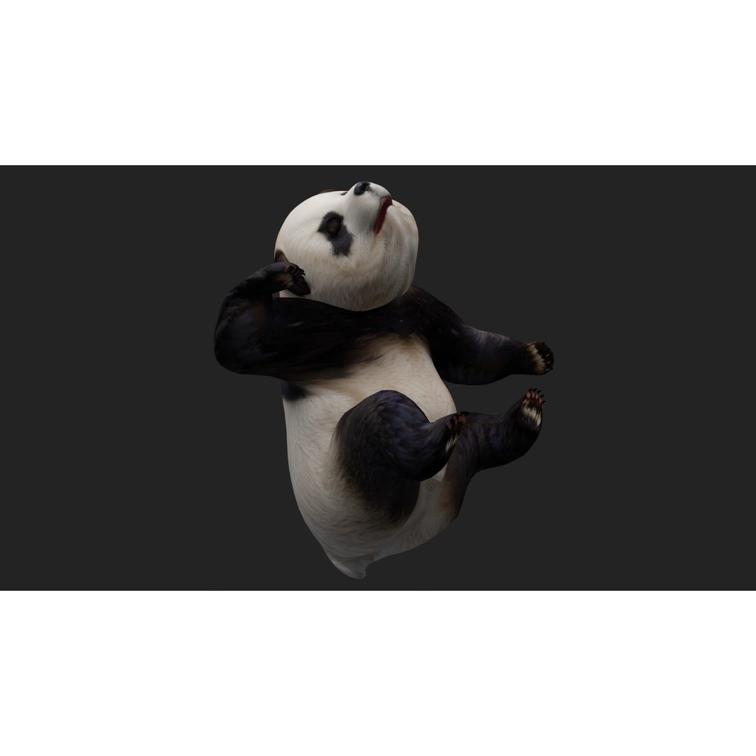 Panda 3D Model – Rigged Animated Character with PBR Textures - View 14