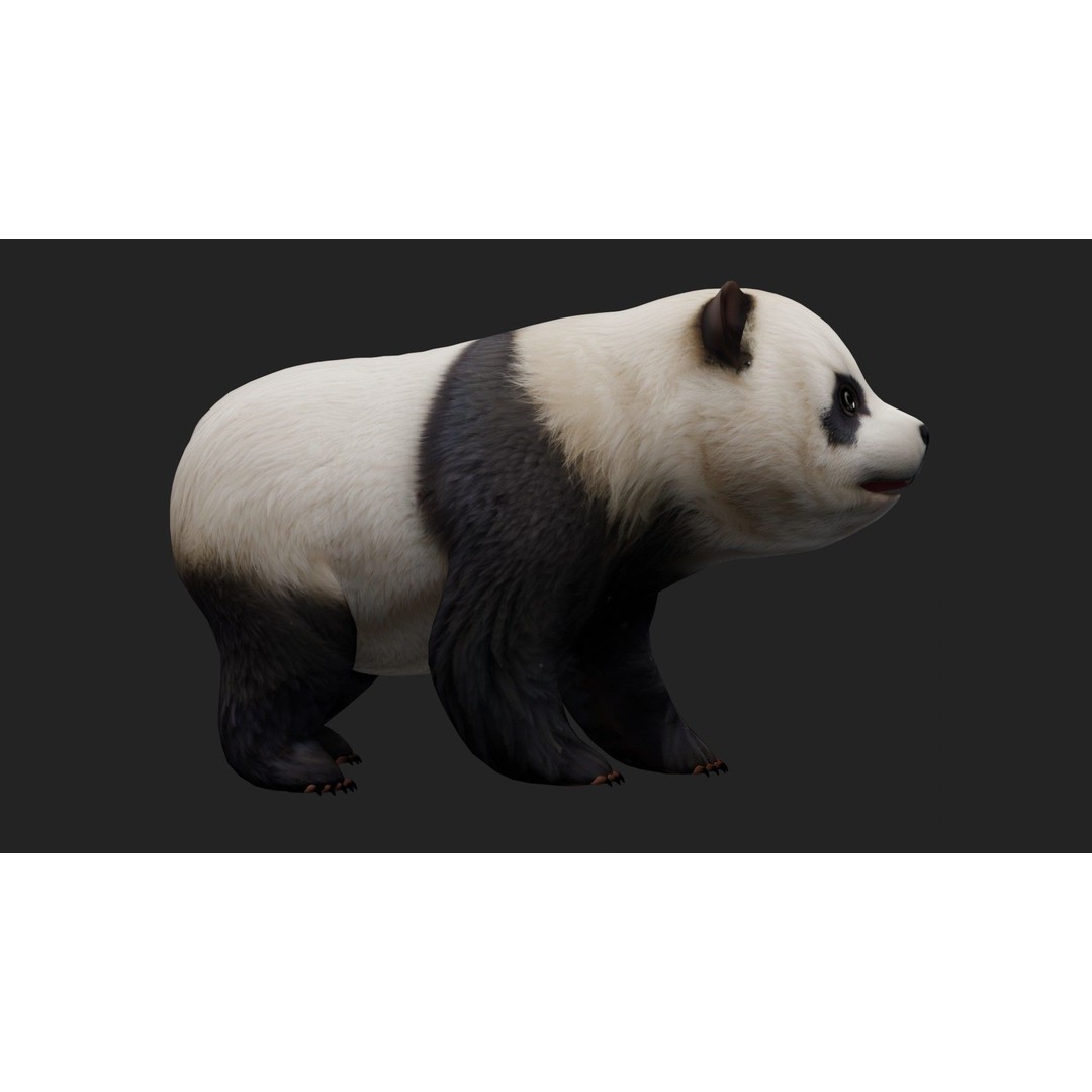 Panda 3D Model – Rigged Animated Character with PBR Textures - View 15